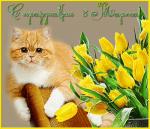     
: 98242471_0e53047c14d8.jpg
: 7
:	60.4 
ID:	10936893