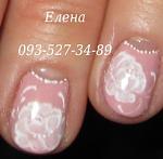     
: IMG_3041..нежность нежн&.JPG
: 8
:	23.4 
ID:	10938691