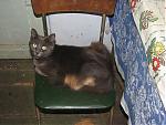     
: IMG_1953.jpg
: 24
:	141.9 
ID:	109393