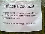     
: 0853.jpg
: 22
:	119.8 
ID:	10940801