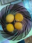     
: HIaQh_wahEc.jpg
: 26
:	72.2 
ID:	10941828