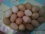     
: IzUmHmA1f8M.jpg
: 28
:	106.5 
ID:	10941832