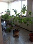     
: photo14486006_403239354.jpg
: 8
:	136.5 
ID:	10941914