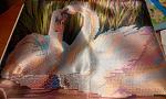     
: 20160309233919.jpg
: 15
:	231.9 
ID:	10942585