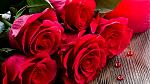     
: Bouquet-red-roses-flowers-close-up_1600x900.jpg
: 56
:	109.2 
ID:	10942807