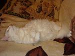     
: DSC03151.JPG
: 38
:	80.3 
ID:	1094425