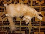    
: DSC03685.JPG
: 34
:	108.0 
ID:	1094434