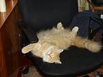    
: DSC02588.JPG
: 29
:	77.1 
ID:	1094453