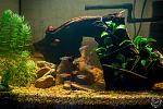     
: aqua2_february-19fls.jpg
: 29
:	148.9 
ID:	10944776