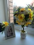     
: IMG_20160228_150119.jpg
: 14
:	91.2 
ID:	10945292