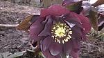     
: WP_20160309_004.jpg
: 14
:	121.0 
ID:	10946588