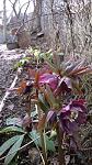     
: WP_20160309_005.jpg
: 11
:	134.0 
ID:	10946589