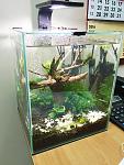     
: IMG_3879.jpg
: 17
:	116.1 
ID:	10947040