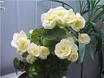     
: 73956317_3486682_dea265b0ddf9.jpg
: 19
:	24.6 
ID:	10947123