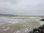     
: IMG_5385.jpg
: 19
:	99.8 
ID:	10947529