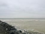     
: IMG_5388.jpg
: 22
:	82.9 
ID:	10947546