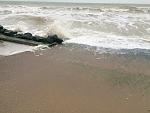     
: IMG_5389.jpg
: 16
:	143.6 
ID:	10947547