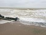     
: IMG_5390.jpg
: 17
:	131.2 
ID:	10947549