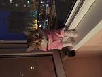     
: image-9a4b5662dc3972ca6b0bbc87bc4464e13c0b4d45514aa360323a37a65351faae-V.jpg
: 49
:	222.8 
ID:	10948676
