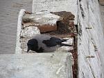     
: IMG_0720.jpg
: 27
:	137.3 
ID:	10953160