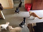     
: MQZzjr-HCvA.jpg
: 11
:	161.0 
ID:	10958270