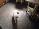    
: efbNnVFMvrQ.jpg
: 16
:	105.0 
ID:	10958273