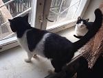     
: 3D7FcydBW6E.jpg
: 14
:	139.2 
ID:	10958274