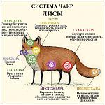     
: чакры.jpg
: 14
:	89.5 
ID:	10958830