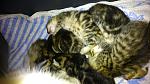     
: DSC_0009.jpg
: 18
:	139.5 
ID:	10959617