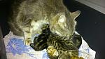     
: DSC_0007.jpg
: 20
:	129.5 
ID:	10959622