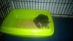     
: DSC_0006_2.jpg
: 38
:	68.9 
ID:	10962600