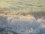     
: IMG_0740.jpg
: 22
:	215.3 
ID:	10963574