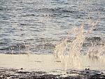     
: IMG_0775.jpg
: 28
:	291.8 
ID:	10963577