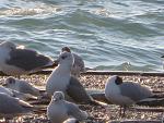     
: IMG_0821.jpg
: 23
:	166.9 
ID:	10963635