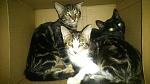     
: DSC_0005_4.jpg
: 32
:	105.7 
ID:	10964212
