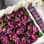     
: o9hRpQL1Oyw.jpg
: 30
:	110.1 
ID:	10964468