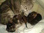     
: isTIAZRdP_E.jpg
: 17
:	52.0 
ID:	10964720