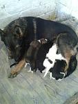     
: 8wph8TUi28w.jpg
: 17
:	56.7 
ID:	10965362