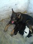     
: BEwPQkNwzVQ.jpg
: 15
:	49.7 
ID:	10965366