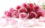     
: b87ba55fda5e.jpg
: 9
:	88.0 
ID:	10965545
