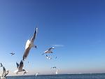     
: IMG_5462.jpg
: 24
:	74.1 
ID:	10966758