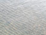     
: IMG_0925.jpg
: 25
:	96.9 
ID:	10967012