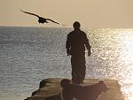     
: IMG_0929.jpg
: 21
:	160.7 
ID:	10967040