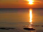     
: IMG_0885.jpg
: 23
:	131.6 
ID:	10967062