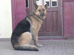    
: SAM_1478.jpg
: 33
:	104.1 
ID:	10969692