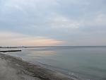     
: IMG_0972.jpg
: 65
:	68.7 
ID:	10971430