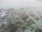     
: IMG_0979.jpg
: 70
:	130.6 
ID:	10971434