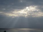     
: IMG_1028.jpg
: 76
:	47.5 
ID:	10971439