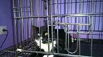     
: DSC_0009.jpg
: 22
:	130.0 
ID:	10972106