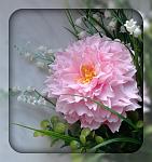     
: Shal1DVrKso.jpg
: 16
:	93.1 
ID:	10972614